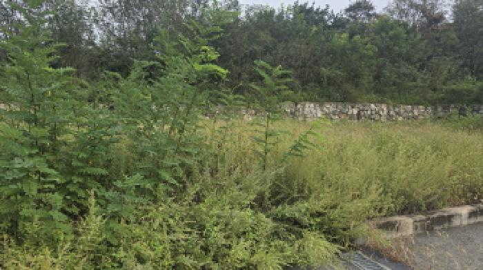 경북 칠곡군 기산면 대지 경매 물건 사진 3 · 2025타경8957