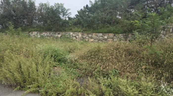 경북 칠곡군 기산면 대지 경매 물건 사진 4 · 2025타경8957