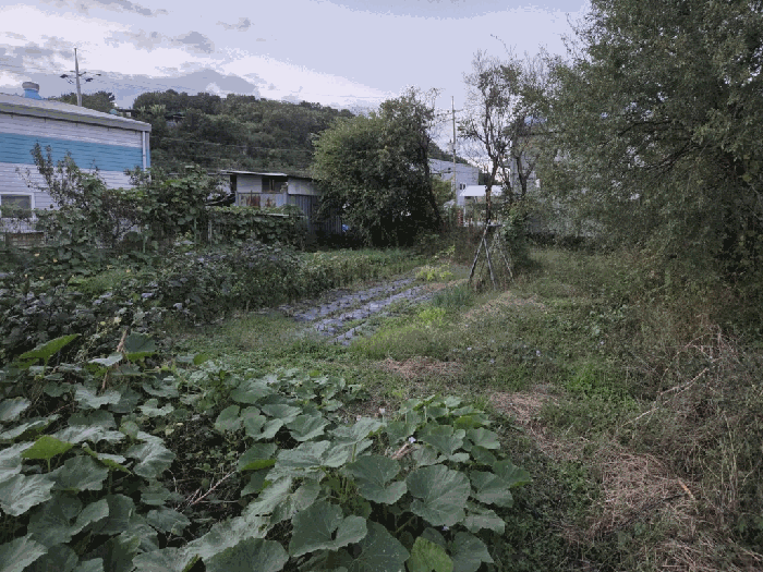 대구광역시 동구 둔산동 987 답 경매 물건 사진