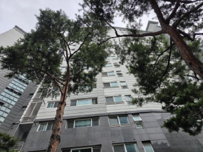 대구 수성구 상동 아파트 경매 물건 사진