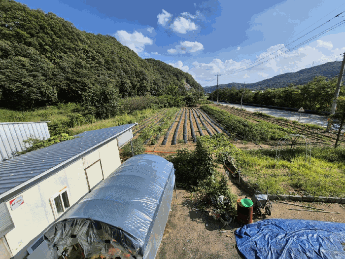 경상북도 칠곡군 지천면 달서리 125-3 전 경매 물건 사진
