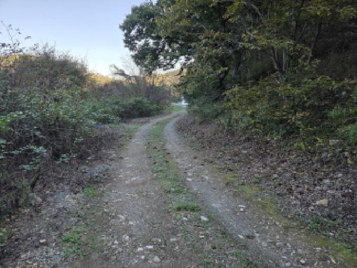 경북 청도군 풍각면 대지 경매 물건 사진