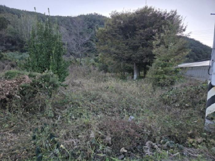 경북 청도군 풍각면 대지 경매 물건 사진 6 · 2025타경9163