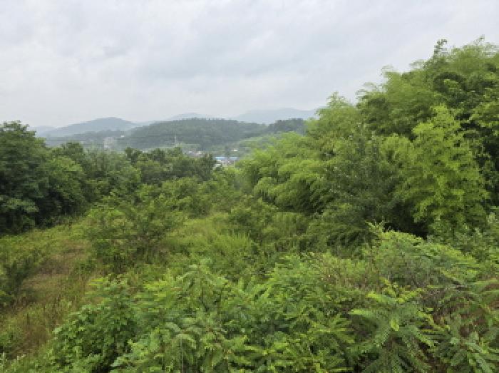 경북 영천시 북안면 과수원 경매 물건 사진 2 · 2025타경917