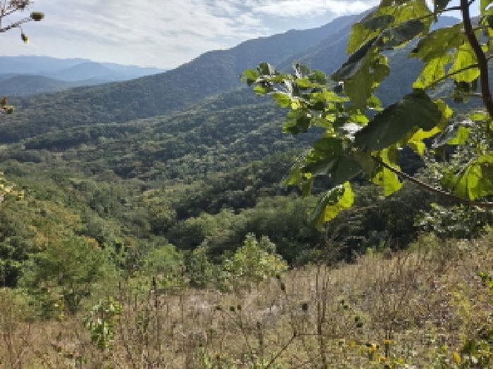 경북 경산시 남산면 대지,임야,전답 경매 물건 사진 6 · 2025타경9177