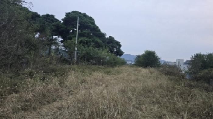 경북 칠곡군 왜관읍 전 경매 물건 사진 4 · 2025타경9180