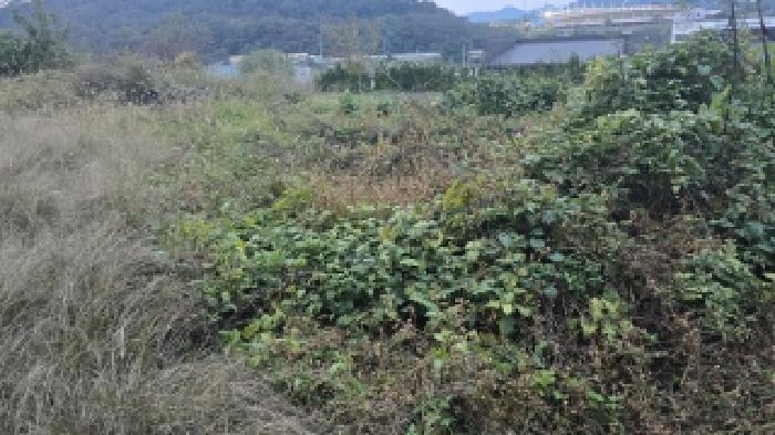 경북 칠곡군 왜관읍 전 경매 물건 사진