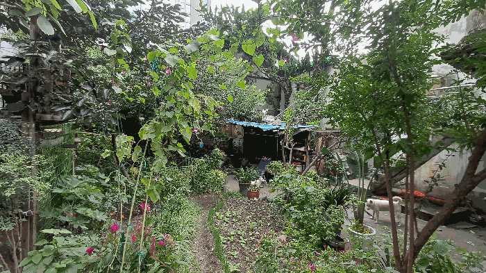 대구 중구 수창동 창고시설 경매 물건 사진 4 · 2025타경9197