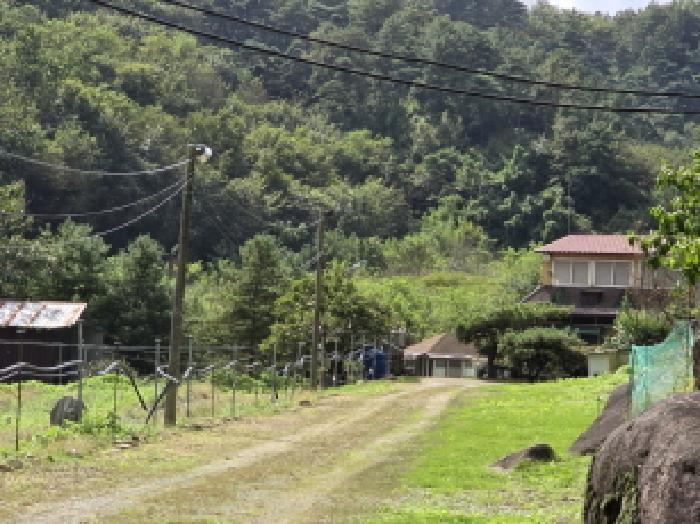 경북 영천시 화남면 전 경매 물건 사진 3 · 2025타경9208