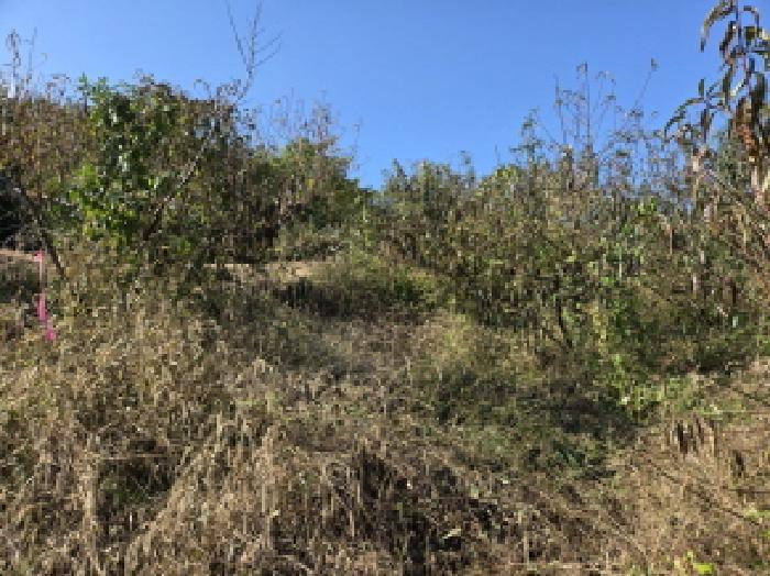 경북 경산시 남산면 대지,임야,전답 경매 물건 사진