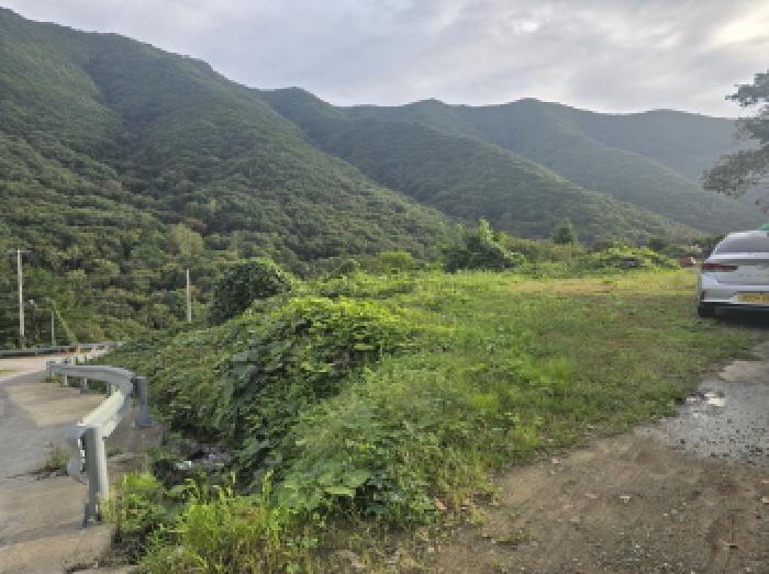 경북 영천시 화북면 전 경매 물건 사진