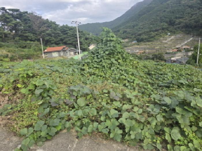 경북 영천시 화북면 전 경매 물건 사진 3 · 2025타경9252