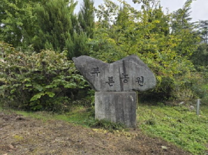 경북 영천시 오미동 임야 경매 물건 사진