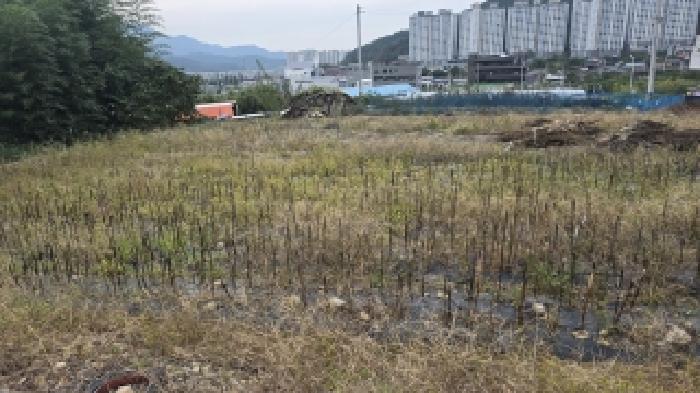 경북 칠곡군 석적읍 대지 경매 물건 사진