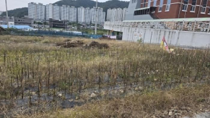 경북 칠곡군 석적읍 대지 경매 물건 사진 2 · 2025타경9290