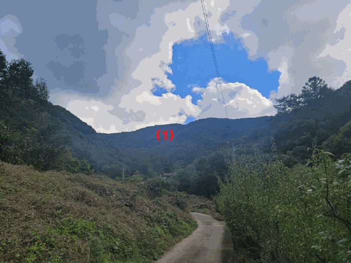 경북 청도군 운문면 임야 경매 물건 사진 5 · 2025타경9322