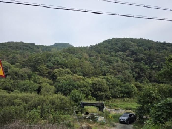 경북 청도군 운문면 임야 경매 물건 사진