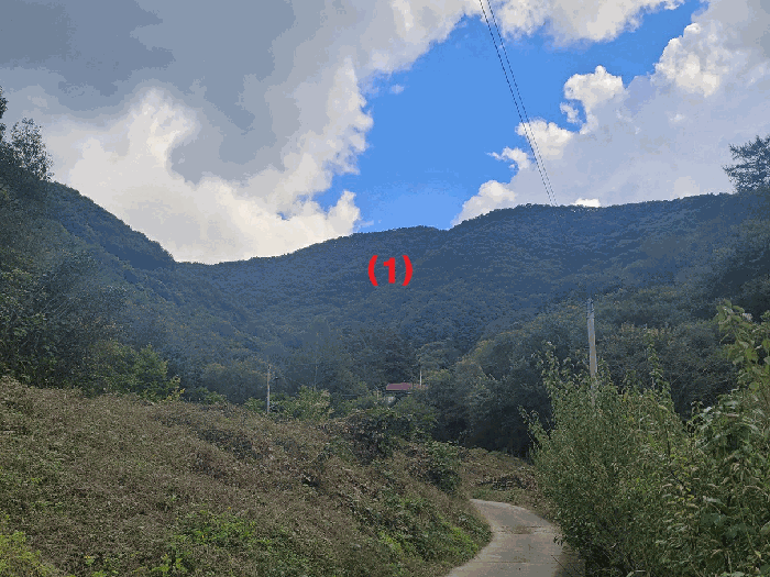 경북 청도군 운문면 임야 경매 물건 사진 2 · 2025타경9322
