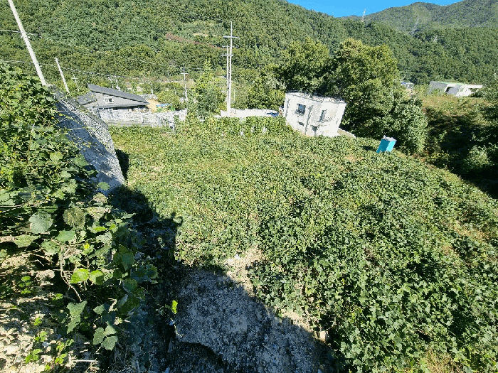경북 칠곡군 석적읍 대지 경매 물건 사진 6 · 2025타경9346