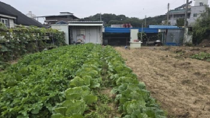 경북 칠곡군 석적읍 대지 경매 물건 사진