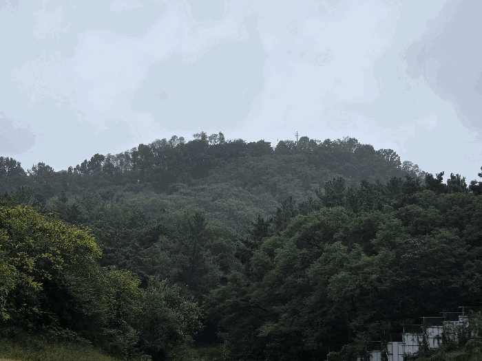 대구 수성구 연호동 임야 경매 물건 사진 5 · 2025타경9420