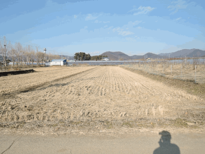 경북 경산시 용성면 대지,임야,전답 경매 물건 사진 6 · 2025타경9434