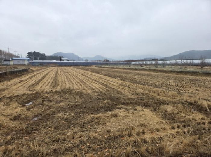 경북 경산시 용성면 대지,임야,전답 경매 물건 사진