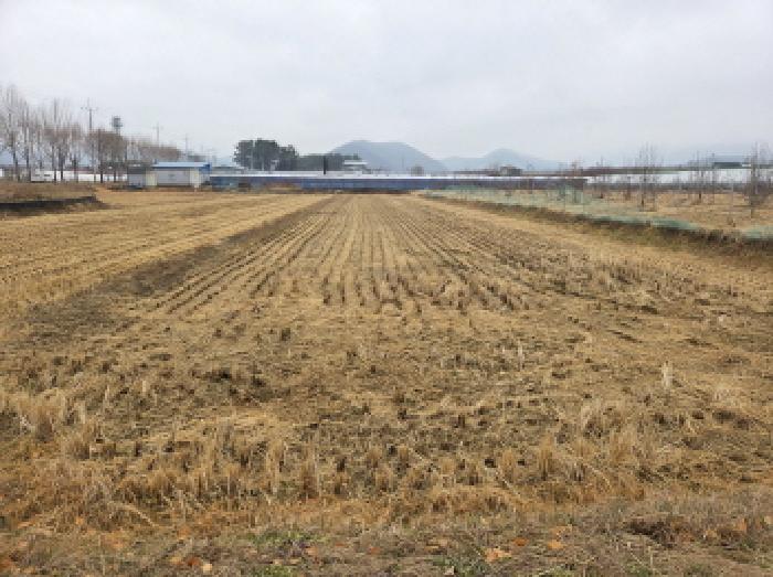 경북 경산시 용성면 대지,임야,전답 경매 물건 사진 2 · 2025타경9434