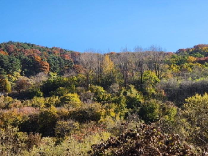 경북 칠곡군 가산면 전 경매 물건 사진