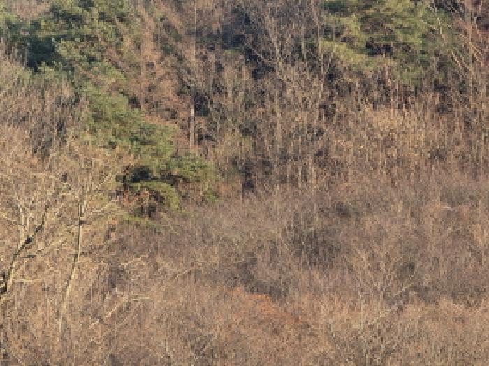 경북 청도군 풍각면 대지,임야,전답 경매 물건 사진 5 · 2025타경9478