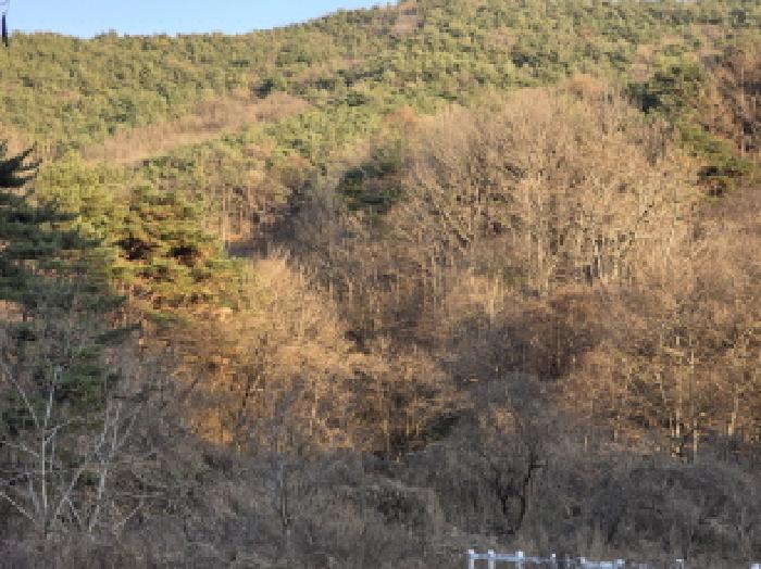 경북 청도군 풍각면 대지,임야,전답 경매 물건 사진 6 · 2025타경9478