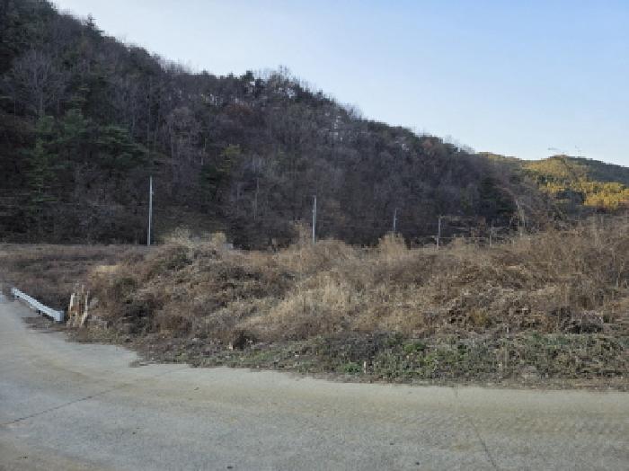 경북 청도군 풍각면 상가주택 경매 물건 사진
