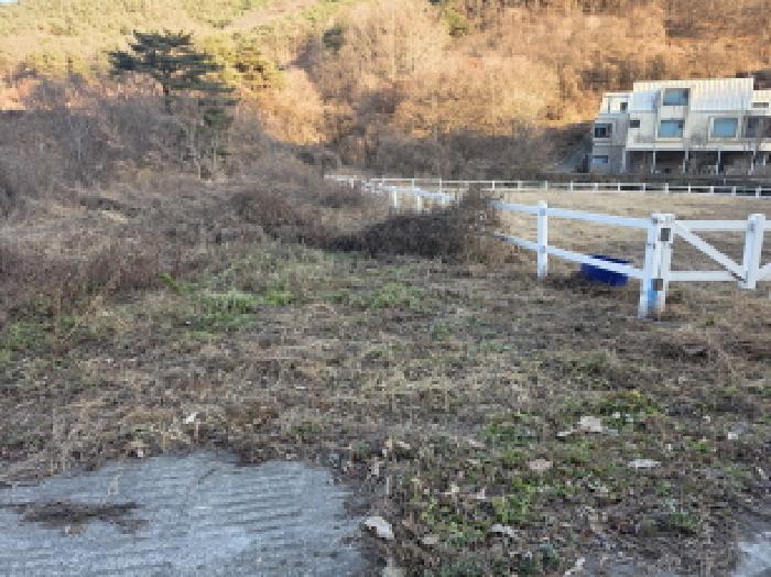 경북 청도군 풍각면 상가주택 경매 물건 사진 4 · 2025타경9479
