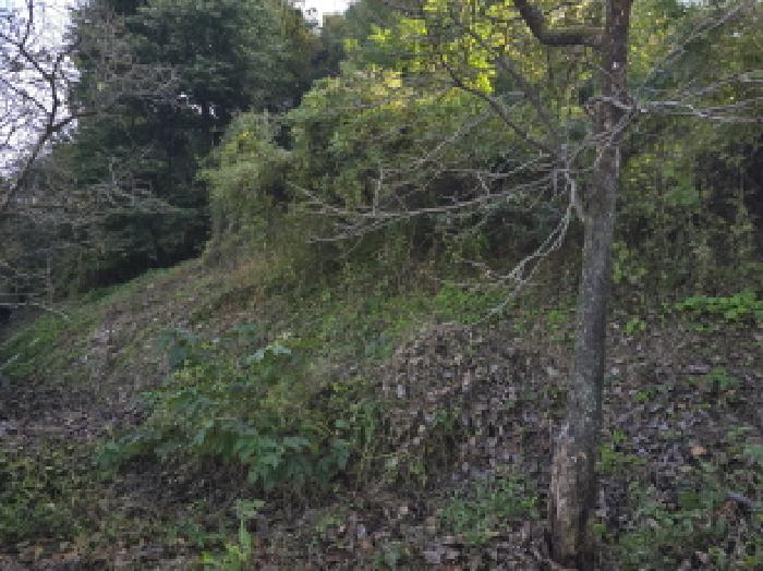 경북 경산시 와촌면 임야 경매 물건 사진