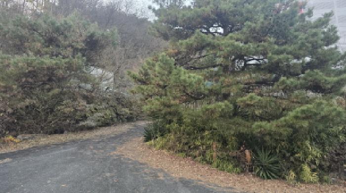 경북 칠곡군 기산면 공장/지식산업센터 경매 물건 사진 3 · 2025타경9545