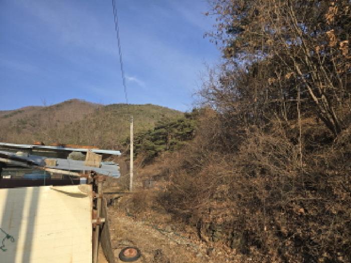 경북 영천시 임고면 임야 경매 물건 사진