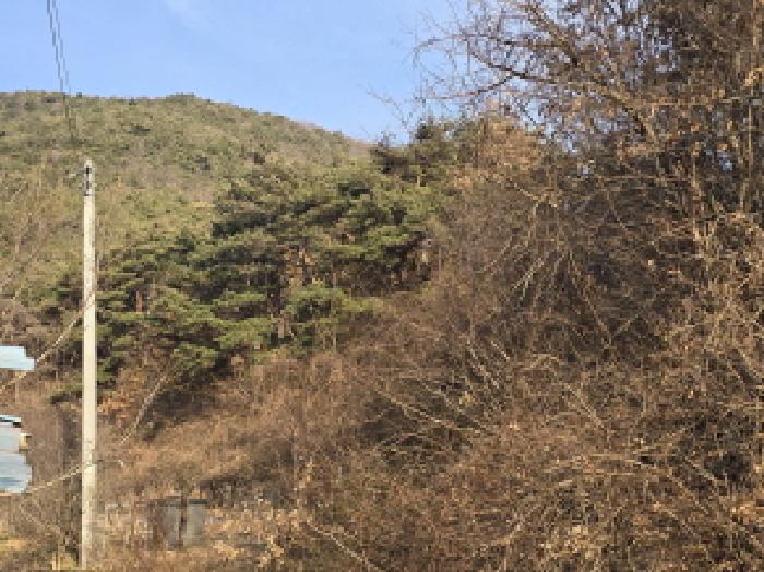 경북 영천시 임고면 임야 경매 물건 사진 2 · 2025타경9575