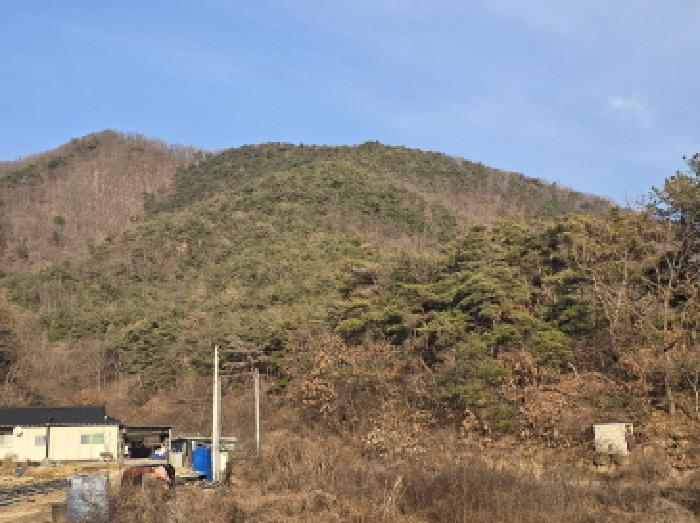경북 영천시 임고면 임야 경매 물건 사진 3 · 2025타경9575