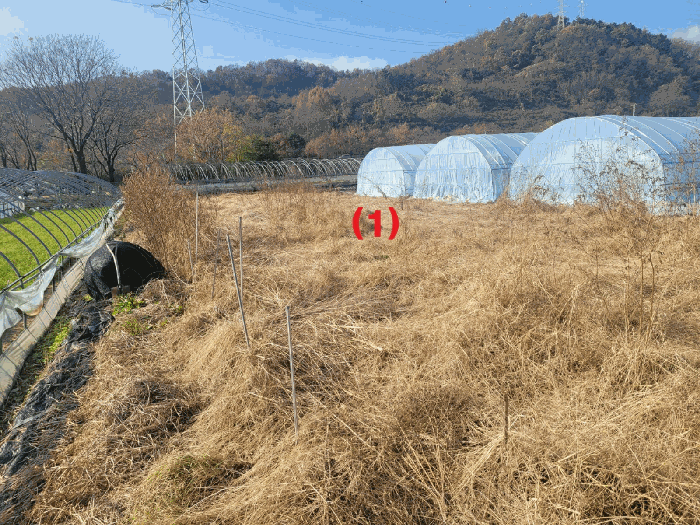 경북 칠곡군 동명면 전답 경매 물건 사진 6 · 2025타경9589