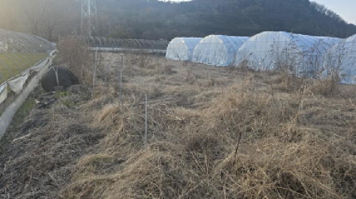 경북 칠곡군 동명면 전답 경매 물건 사진 2 · 2025타경9589