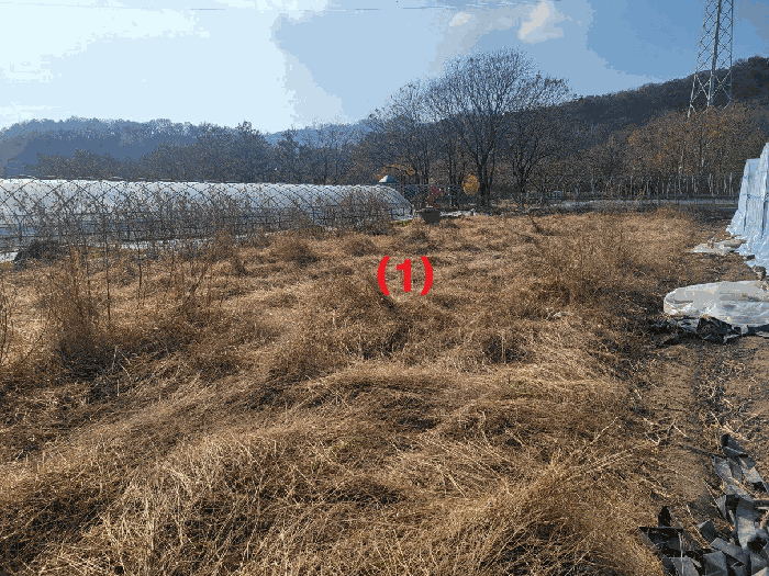 경북 칠곡군 동명면 전답 경매 물건 사진 3 · 2025타경9589