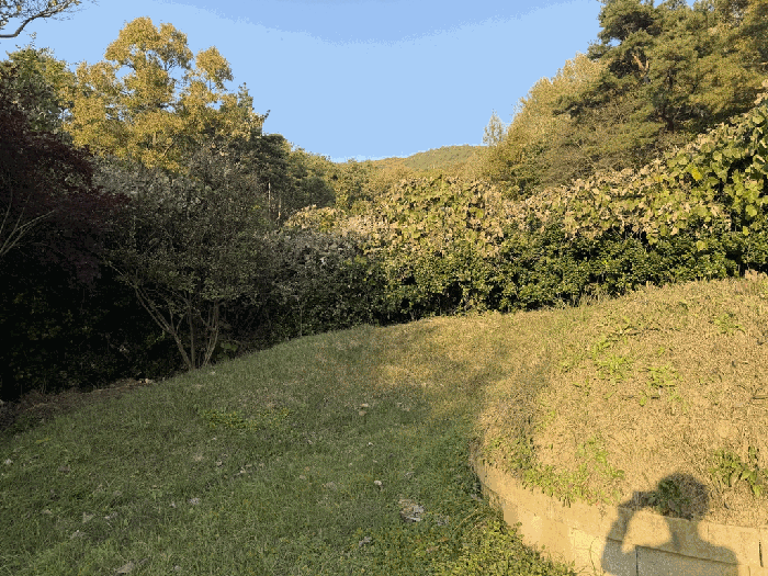 경북 청도군 금천면 대지,임야,전답 경매 물건 사진 5 · 2025타경9609