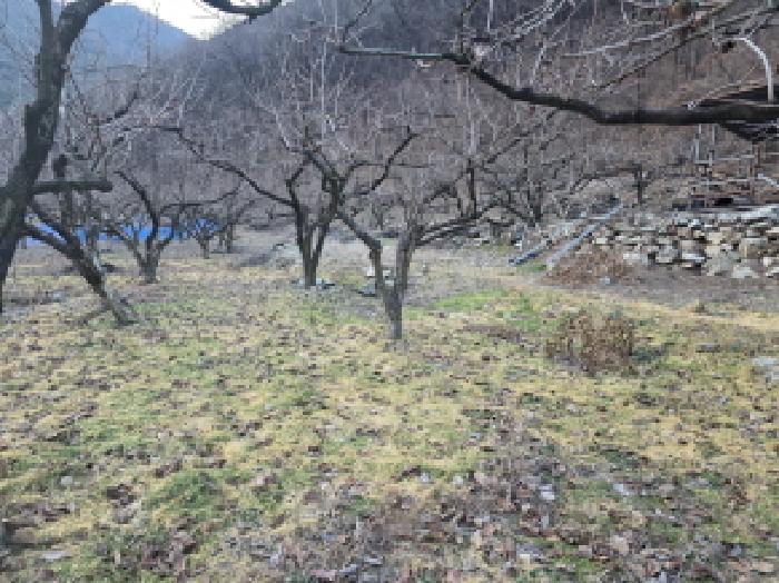경북 청도군 금천면 대지,임야,전답 경매 물건 사진 3 · 2025타경9609
