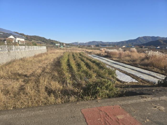 경북 영천시 금호읍 전답 경매 물건 사진