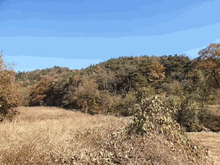 경북 칠곡군 북삼읍 임야 경매 물건 사진 5 · 2025타경9657