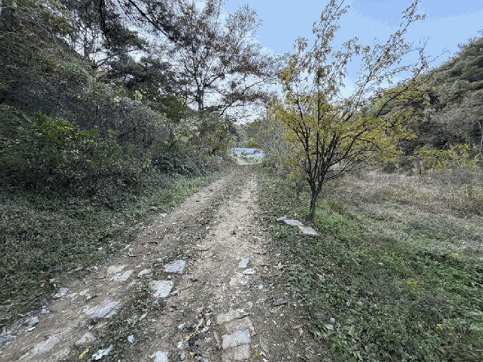 경상북도 칠곡군 지천면 낙산리 44 대지,임야,전답 경매 물건 사진