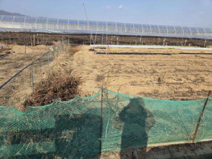 경북 경산시 압량면 전답 경매 물건 사진 2 · 2025타경9672