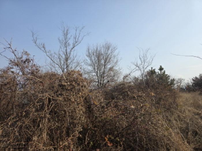 경북 청도군 이서면 임야 경매 물건 사진 2 · 2025타경9795