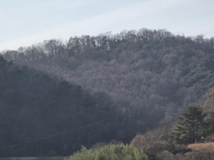 경북 영천시 화남면 임야 경매 물건 사진