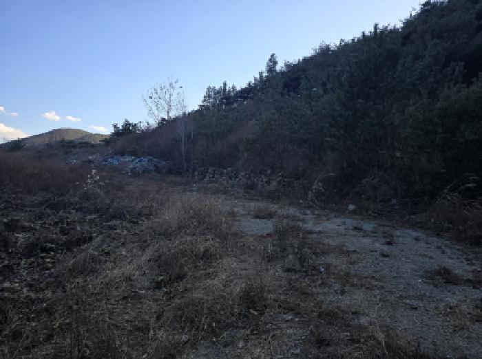 경북 영천시 신녕면 임야 경매 물건 사진 2 · 2025타경9891
